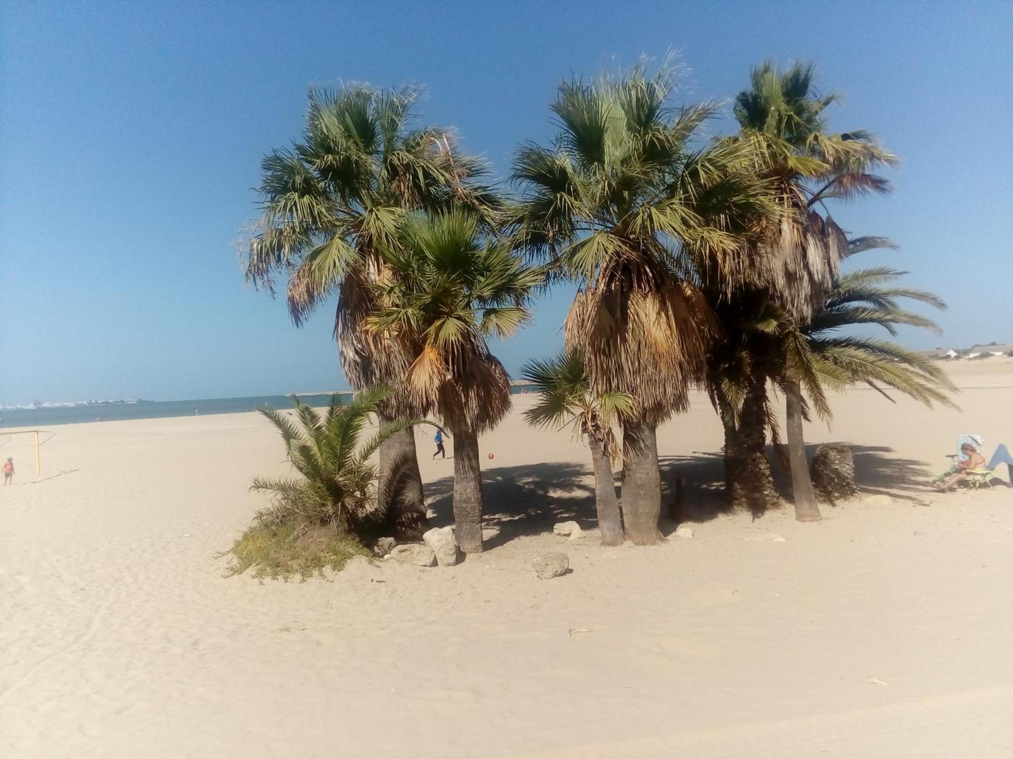 אל פוארטו דה סנטה מריה Apartamento Primera Linea De Playa Valdelagrana מראה חיצוני תמונה